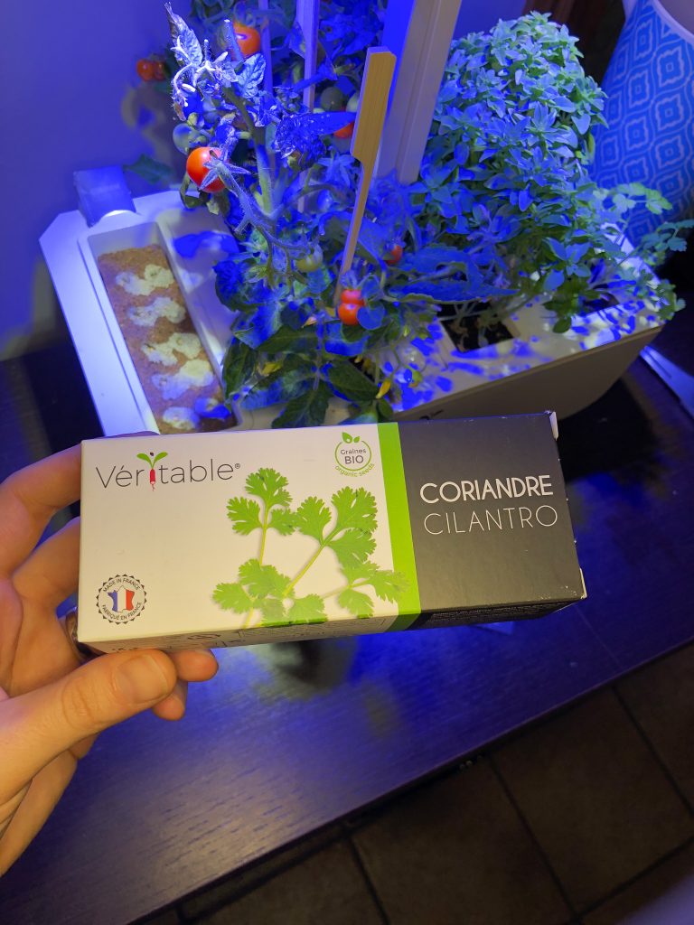 potager veritable garden herbes aromatiques coriandre