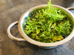 potager veritable garden herbes aromatiques basilic